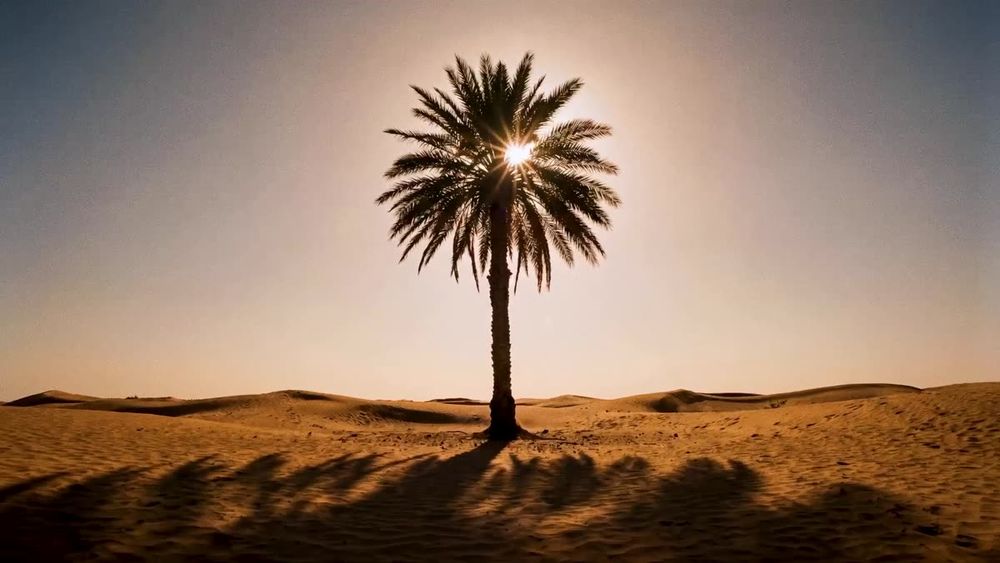 Diriyah — FRAME 02 / 06 — THE FIRST GREEN THING