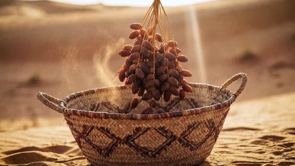 Diriyah — FRAME 03 / 06 — ONE PALM, NO CONTEXT