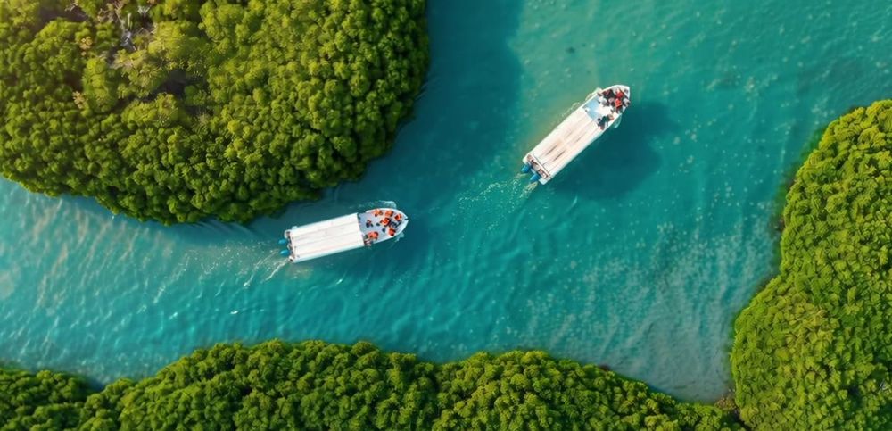 JuJu — Jazan — FRAME 02 / 06 — MANGROVES FROM ABOVE